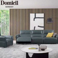 Domicil全进口真皮沙发/德国现代经典大尺寸DM-A6286